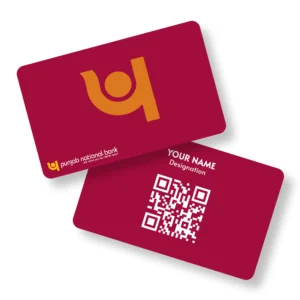 PNB Subtle Bank PVC NFC Business Cards Cardyz